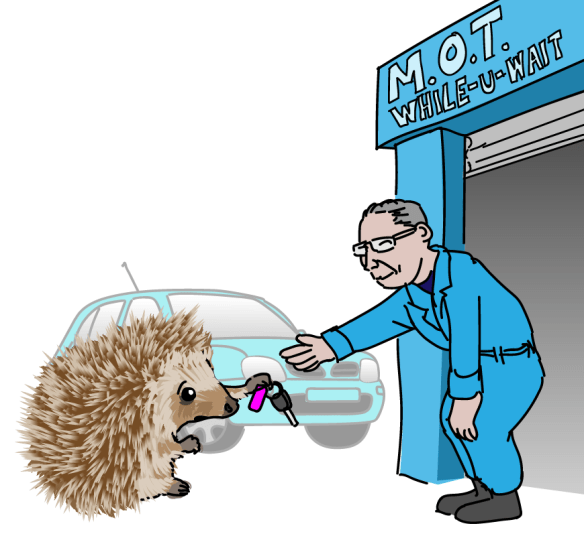 hedgehog-MOT-01